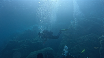 Bubbles diving