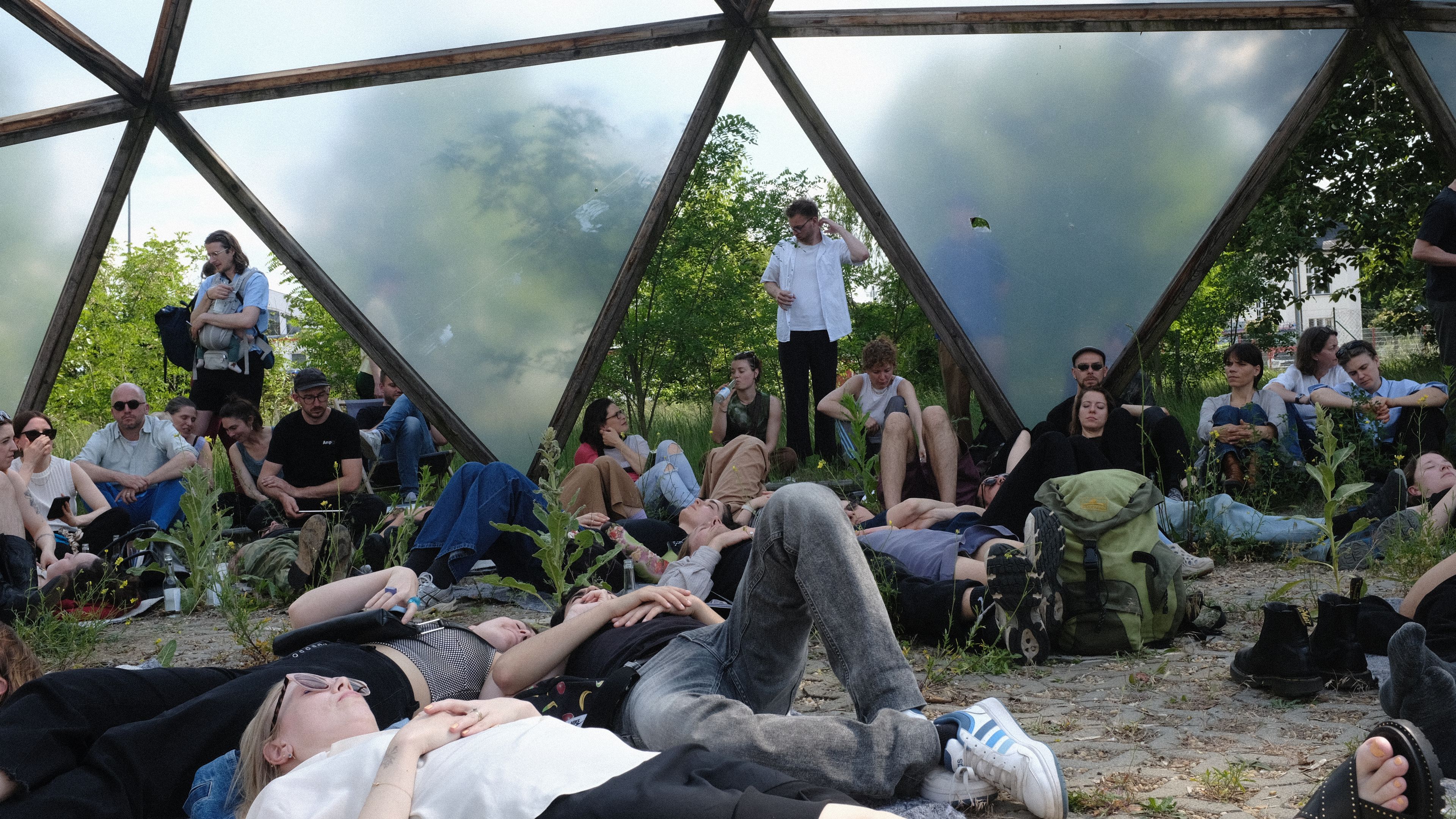 Shape of a circle in the mind of a fish