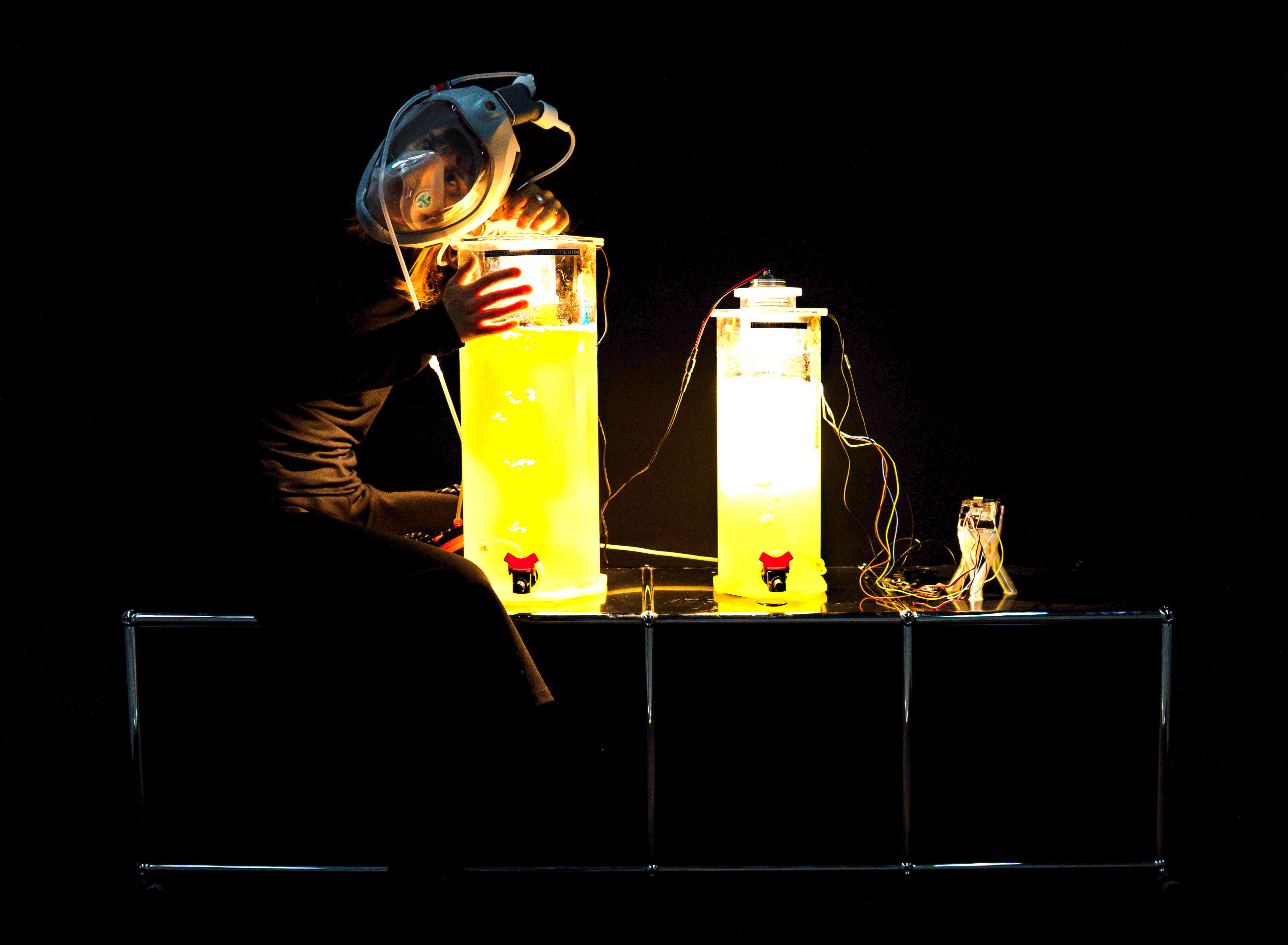 breathing with plankton