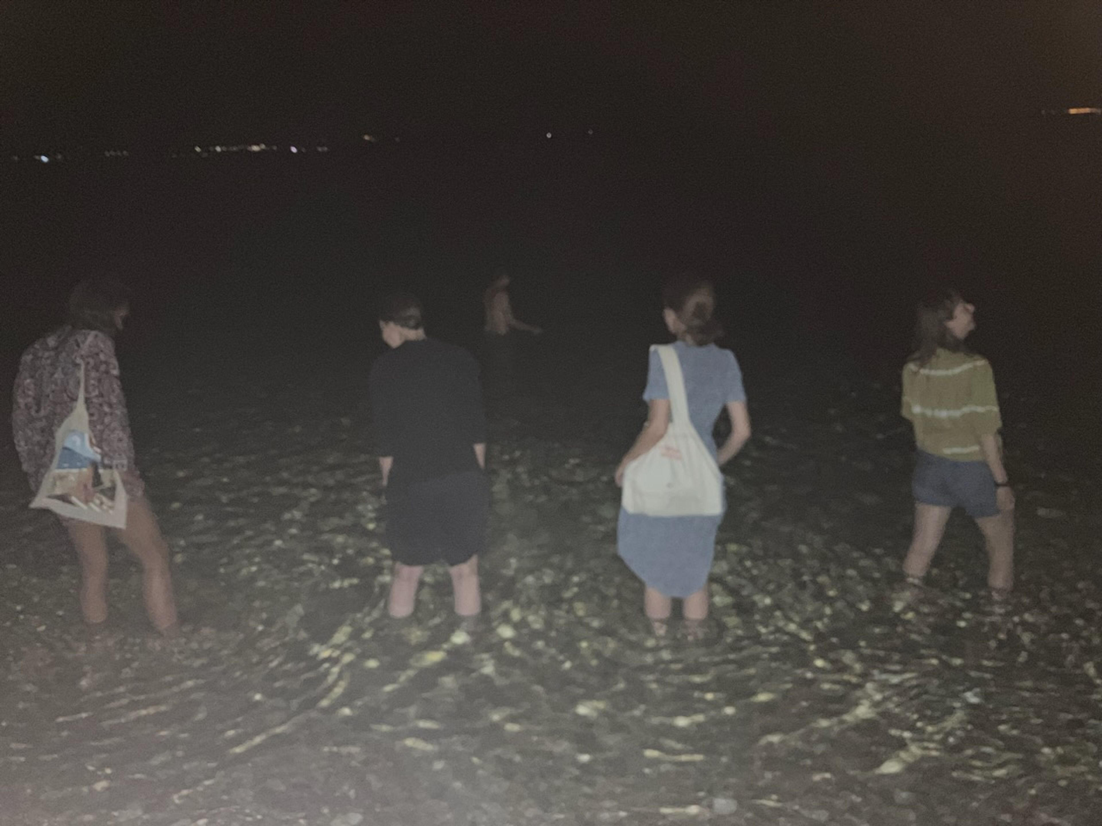 oceanic_realignments_2024_2