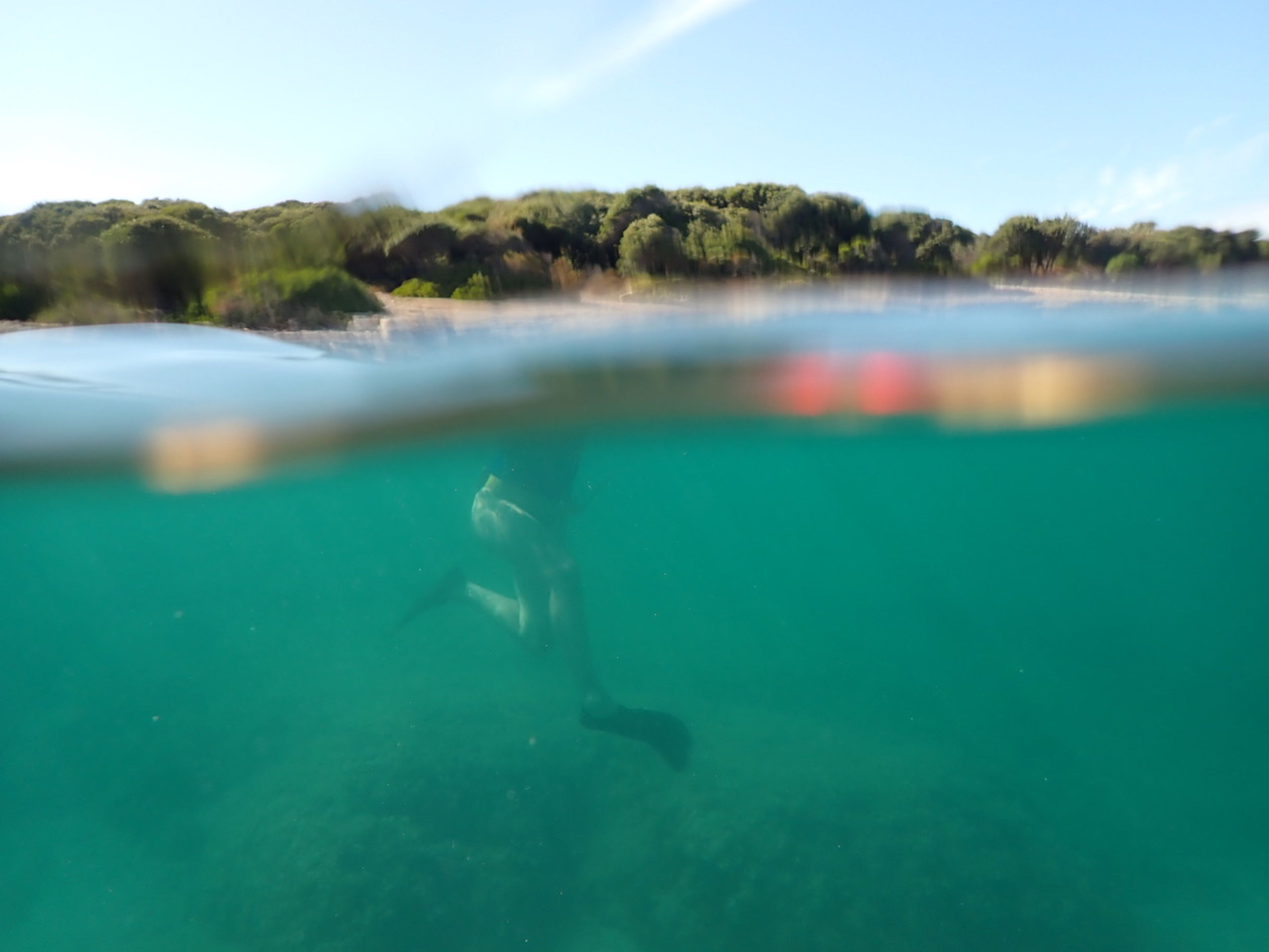 oceanic_realignments_2024_4